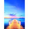 Pintura de diamantes 5D de paisaje DIY diamante completo creativo sala de estar dormitorio pintura decorativa bordado de diamantes ventas directas de fábrica al por mayor transfronterizas