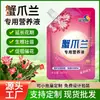 Solución Nutritiva para Florecer Cactus de Navidad No Requiere Dilución Hoja Amarilla de Planta Solución para Enraizar Plantas Verdes Solución Nutritiva para Plantas Solución Nutritiva para Potos