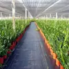 Tecido Anti-erva para pomar agrícola estufa jardinagem agricultores de vegetais tecido para capinar anti-envelhecimento tecido anti-erva perfurado tecido anti-erva atacado