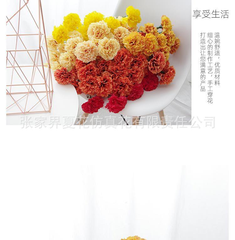 详情图_17.jpg