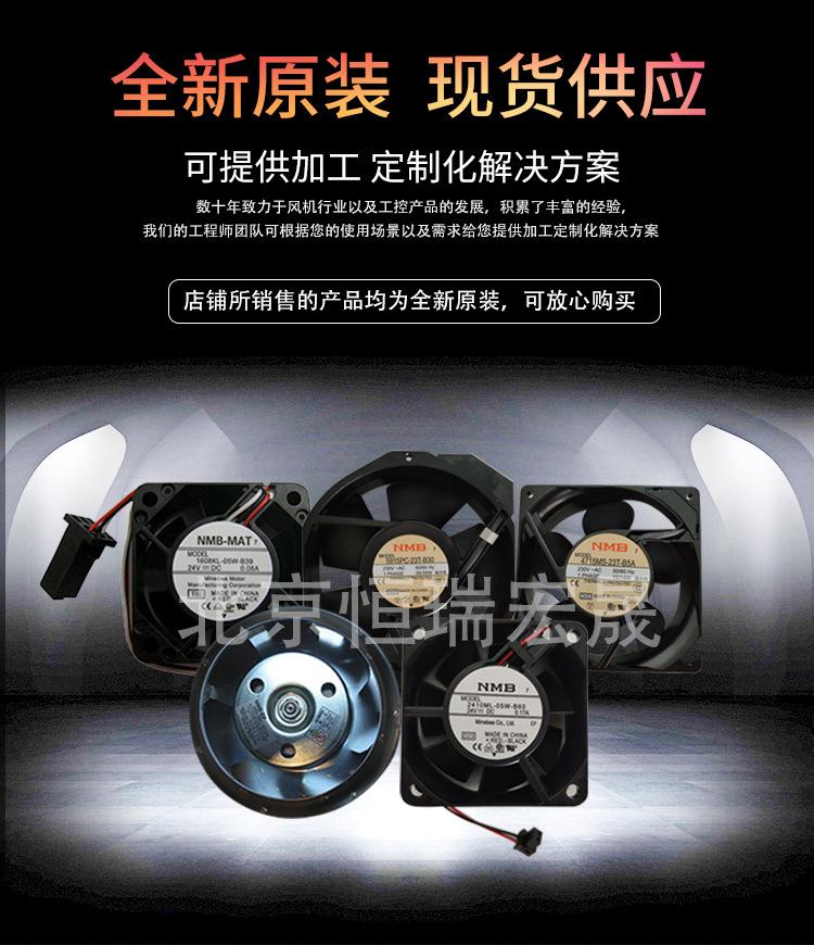 美蓓亚 (1)