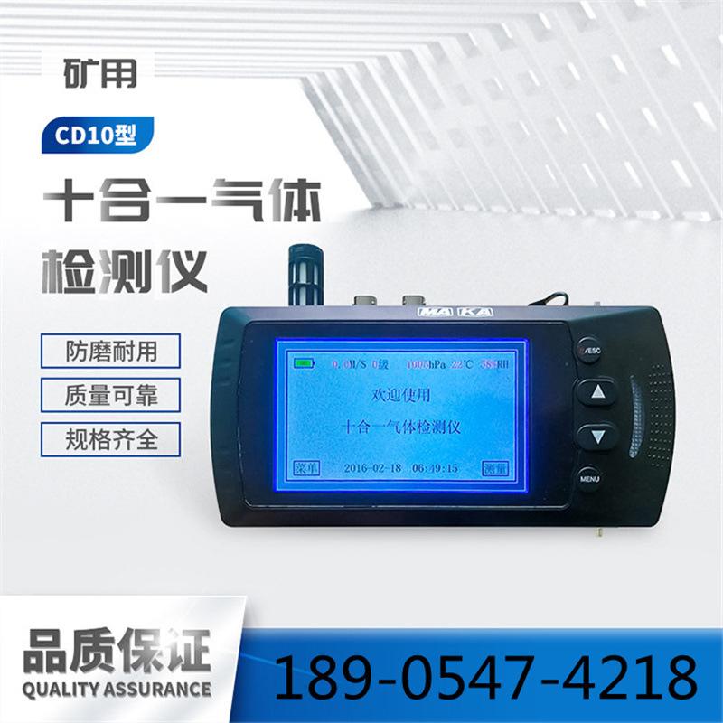 CD10十合一气体检测仪