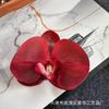 Filme de simulação Phalaenopsis Flower Head Simulation Flower Bag Acessórios Headwear Hairpin Flower DIY Handmade Wedding Ceremony Decoration