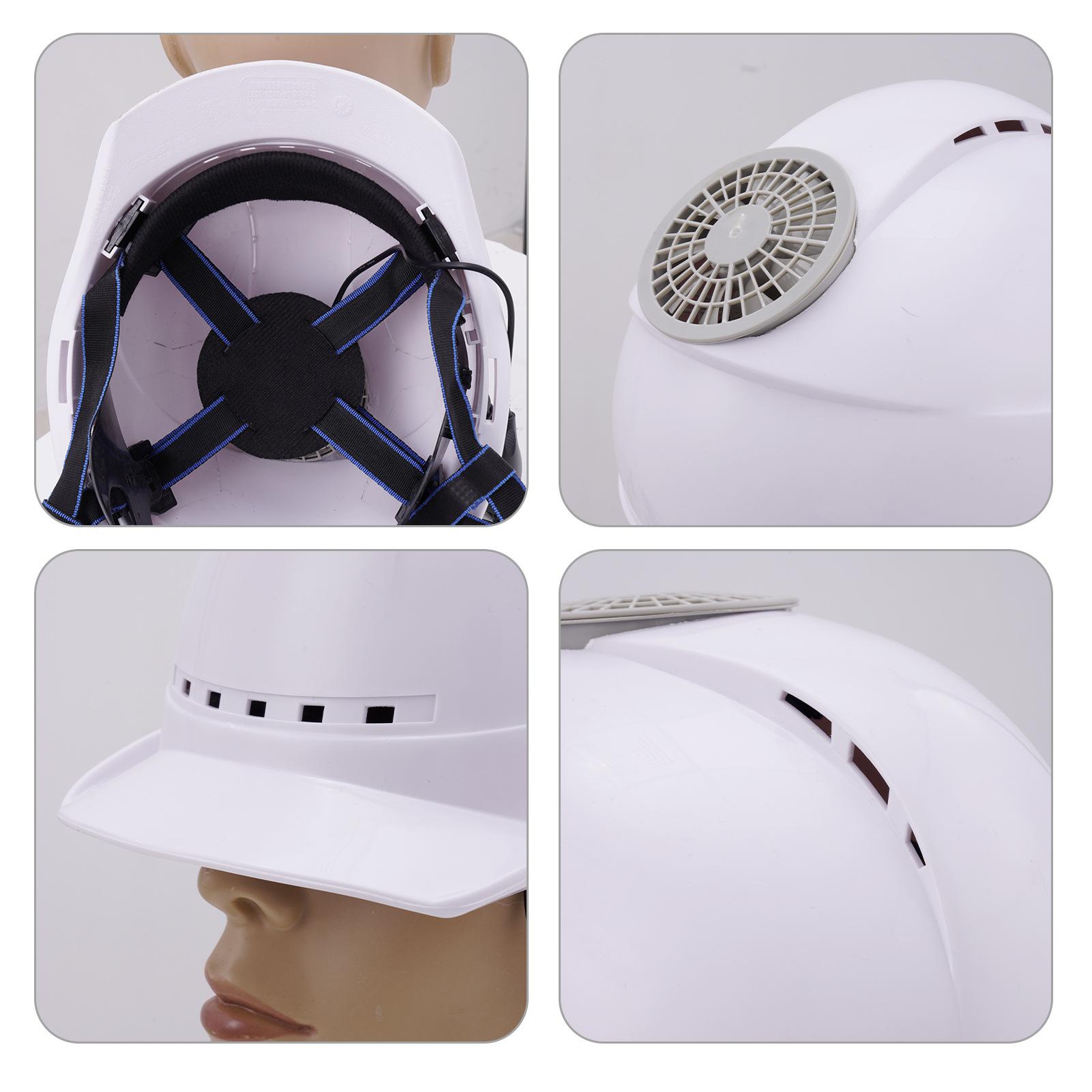 HM1135601-dt (1).jpg