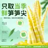 Brotes de Bambú Encurtidos Famosos en Internet, Brotes de Bambú Frescos y Crujientes, Tiras de Brotes de Bambú Ácidas y Picantes, Brotes de Bambú Pelados a Mano, Deliciosos Snacks, Listos para Comer, Venta al por Mayor