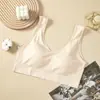Colete Sem Costura Plus Size, Magro, Respirável, Estilo Fixo, Novo Estilo de Verão