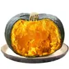 Calabaza Beibei de Shandong 2.5kg Sabor a Castaña Comida para Bebés Vegetal Fresco Ventilador Viejo Japonés Calabaza Pequeña Beibei 0.5kg