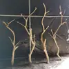 Adornos naturales de ramas de tronco de árbol, paisajismo de troncos de árbol, ramas secas, decoraciones de madera muerta, soportes de ramas de árbol, perchas para pájaros
