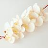 9 grandes flores artificiais Phalaenopsis estilo europeu flor falsa para casa ramo único Phalaenopsis flor de seda buquê macio atacado e varejo