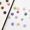 Joias de unhas Camélia lote misto 2023 novo produto popular Galaxy rosa flor camélia decorações de unhas de resina