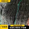 Malla Antipalomas Pe Negra para Huerto Malla Engrosada Malla para Invernadero Malla Transfronteriza para Plantas Trepadoras Malla Protectora Resistente al Viento