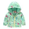 Chaqueta con capucha y cremallera para niños y niñas, temporada de primavera y otoño 2026, estampado de dinosaurio de dibujos animados, chaqueta casual