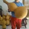 1.0m Calabaza Grande Calabaza Extra Grande Adorno Colgante Feng Shui Sala de Estar Oficina con Grifo Calabaza Wenwan