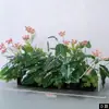 Decoración de Paisajes Comerciales, Arte Floral, Jardinería de Plantas Verdes, Montaje de Lugares para Ceremonias de Eventos, Arreglos Florales de Piso