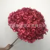 Flor Preservada Haste Única Hortênsia Anna Anna Folha Pequena Bella 40 Cores Personalizado Atacado Presente Dia dos Professores