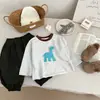 Pantalones de Algodón Puro para Niños de Principios de Primavera, Pantalones Harem Sueltos Casuales para Bebés y Niños Pequeños de Temporada Primavera y Otoño, Elegantes y Versátiles Pantalones Linterna para Bebés