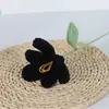 Flor de Tulipan Terminada Hecha a Mano con Lana Flor de Lana Tejida a Crochet Flor Artificial Flor Inmortal Tulipan Abierto y Cerrado Flor de Lana de Tulipan