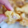 100g Pó Especial para Carne de Porco Crocante Produção e Processamento em Atacado para Uso Doméstico, Fábrica de Pó de Carne de Porco Crocante