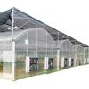 Fabricante de Película Calentadora de Verduras y Frutas, Invernadero Continuo de Invernadero, Invernadero Simple de Película Conjunta, Comercio Exterior Transfronterizo