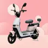 Fabricante de Fonte de Bicicleta Elétrica Transfronteiriça