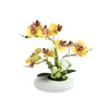 Orquídea Mariposa Artificial Creativa y Rosa Maceta de Flores Falsas Planta para Escritorio de Hogar y Oficina, Flor Artificial de Tacto Realista Planta Verde Bonsái Decoración