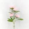 Flor de Peonía Artificial de un Solo Tallo con 4 Cabezas, Más Vendida Transfronteriza, Adorno para Decoración de Bodas y Hogar, Nuevo Modelo de Peonía Artificial en Amazon