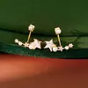 Aretes de Aguja Plateada con Estrellas de Circonita y Perlas, Elegantes y Únicos, Aretes de Moda de Nicho con un Toque de Lujo Ligero y Acabado de Alta Gama, Al por Mayor
