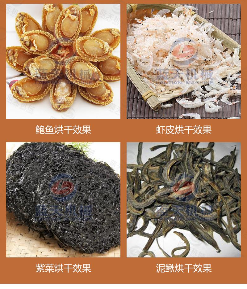 银鱼烘干机_13.jpg