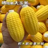 Bloques de construcción populares coreanos de maíz y cacahuete DIY bola squishy hecha a mano juguete de rebote lento para aliviar el estrés