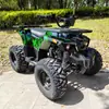 Vehículo de Playa ATV Todoterreno Todoterreno Motonieve Lugar Vehículo Todoterreno de Cuatro Ruedas 110-125-150cc