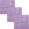 Lenço Quadrado Pequeno Floral Paisley Material Poliéster Lenço de Seda Feminino Decoração de Gola de Camisa Acessório Versátil