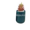 Porta-Canetas Cerâmico Criativo Esmaltado Colorido, Vasinho de Flor Mini Suculenta Pequeno e Fofo, Conjunto Fofo de Plantas em Vasos para Mesa, Plantas Verdes, Estilo Nórdico