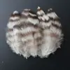 Venda Direta de Fábrica de Quase 100 Tipos de Acessórios Naturais de Penas Pequenas para Joias DIY, Acessórios de Cabeça, Broches, Chapéus, Materiais de Decoração para Artesanato