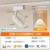 Spot de Trilha LED Inteligente Pequeno em Formato de Colina para Iluminação de Parede de Fundo em Trilho para Roupas, Montado na Superfície, Já Conectado a Spots de Trilha de Alto Brilho