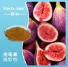 Extracto de Higo Huike de Shaanxi 10:1 Venta Directa de Fábrica Extracto Grande de Higo Congyou