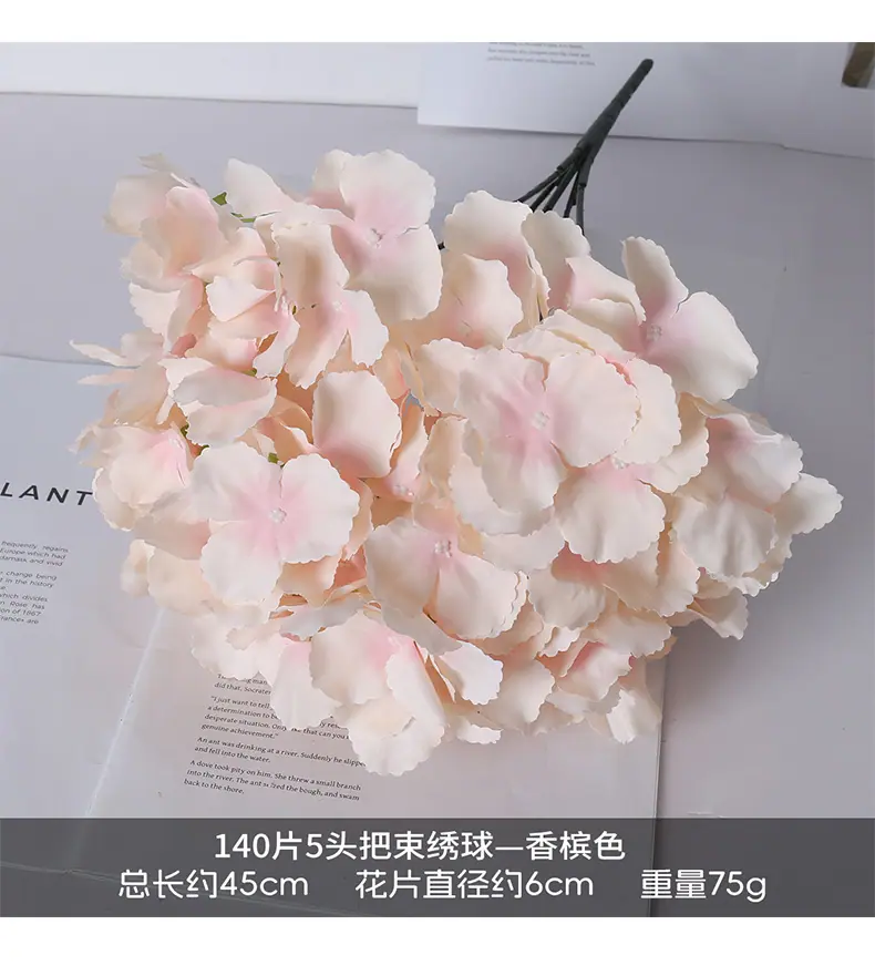 5头绣球_11.jpg