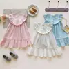 Ropa Infantil Estilo Coreano Vestido de Niña con Cuello Volante Verano 2026 Nuevo Vestido de Princesa sin Mangas de Encaje con Cuello Redondo para Niñas