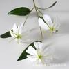 Simulação flor 3 chama lírio cena de casamento layout decoração para casa flor artificial tiro adereços fábrica atacado