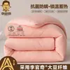 Colcha de Fibra de Soja Li Guanqi Classe A Colcha de Primavera e Outono Colcha Grossa de Inverno Colcha para Dormitório Estudantil Núcleo de Colcha Colcha Mãe e Filho Dois em Um