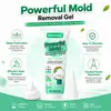 Gel Limpiador Potente Kineshinex para Manchas de Moho 30ml Gel Espeso para Aplicación Precisa Adecuado para Juntas de Azulejos y Alféizares