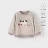 Sudadera para Bebé Estilo Primavera y Otoño, Sudadera Unisex para Bebé con Cuello Redondo, Atuendo de Otoño, Suéter Pulóver con Cuello Redondo para Niño Pequeño, Ropa para Bebé
