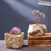 Vasos de Cerâmica Bruta Sem Esmalte para Flores Frescas com Características Zen Criativas, Novo Conjunto Respirável para Plantas Suculentas, Frete Grátis