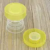 Taza Plegable Portátil para Viajes al Aire Libre Montañismo Taza de Agua Transparente Plástico PP Grado Alimenticio Taza Telescópica con Tapa 32g