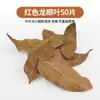 Hojas de Tortuga y Longan sin Cocinar para Cuidado de Tortugas en Casa Acuario Pecera Hojas de Almendro Paisajismo Acuático Ajustable Perezoso Tanque de Tortugas