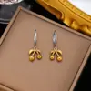Brincos de Aço Titânio em Promoção Colar de Aço Titânio