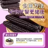 Maíz negro del tamaño de un pulgar de color púrpura de Xishuangbanna, Yunnan, maíz de dedo fragante y pegajoso, mazorca de maíz fresca lista para comer envasada al vacío