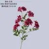 Jasmim Flor Bolha Flor Artificial Fabricante Decoração de Casa Buquê de Casamento Flor Falsa Estilo Ins Parede de Flores Rosas