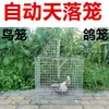 Jaula automática para palomas, modelo nuevo para uso doméstico, jaula automática para pájaros, jaula giratoria, jaula abatible para uso en exteriores con Metabo