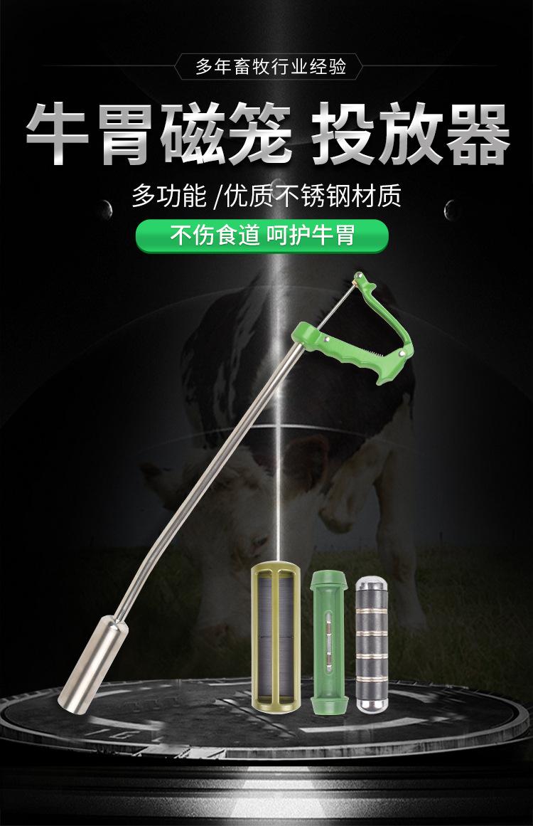 详情_01.jpg