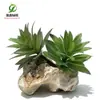 Simulación planta suculenta súper grande tamaño pequeño suculenta bonsái planta verde flor de plástico en maceta micro paisaje con pared vegetal
